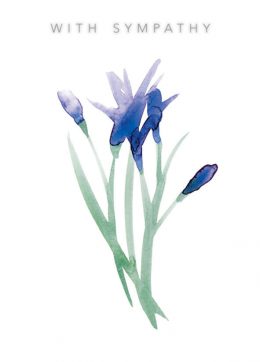 IPL004e