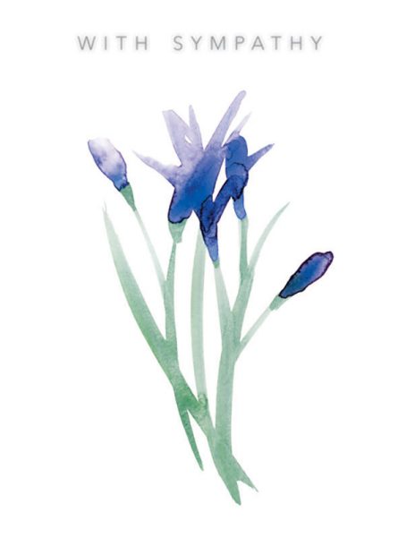 IPL004e